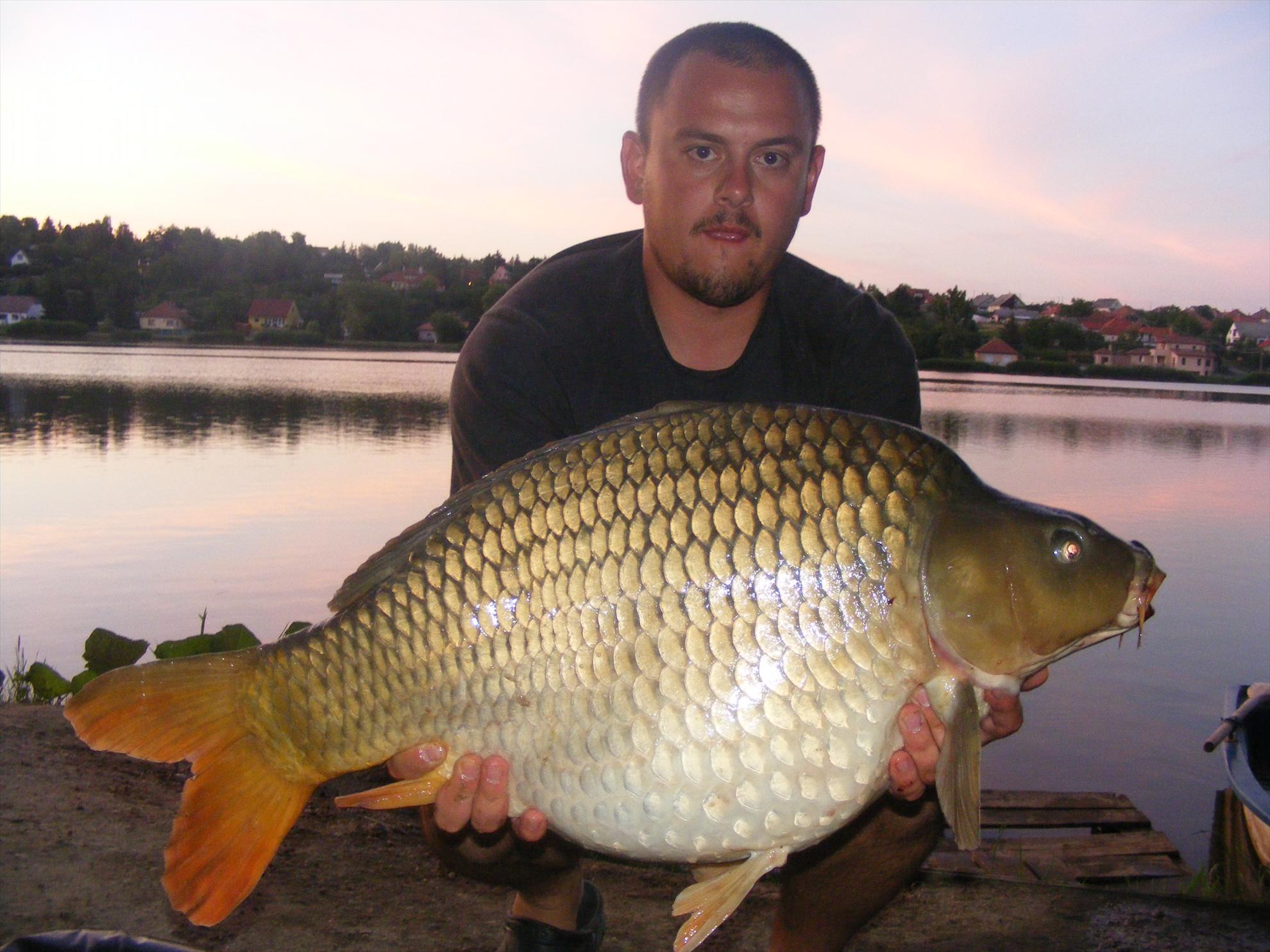 Harsanyi 2013 - dscf6418.JPG